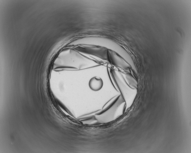 X0000111660293200908141319