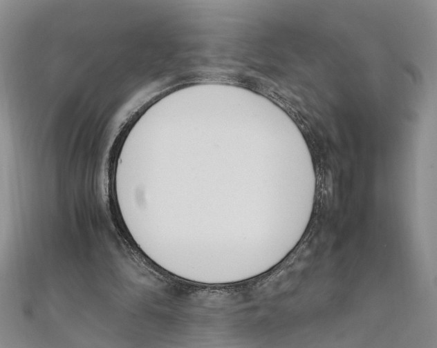 X0000111660294200908141319