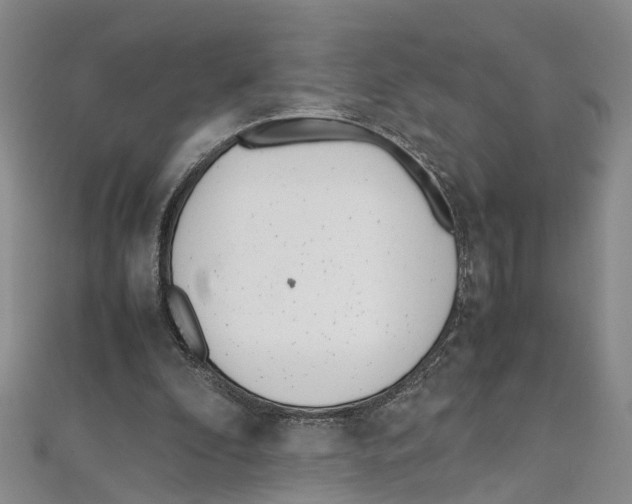 X0000111660296200908141319