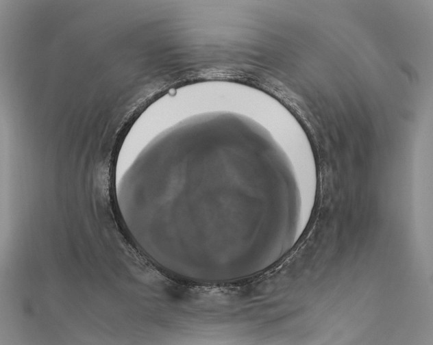 X0000111660297200908141319