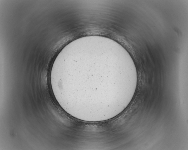 X0000111660298200908141319