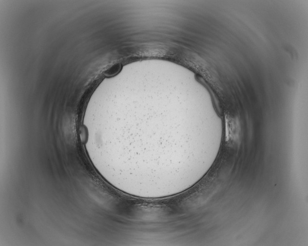 X0000111660300200908141319