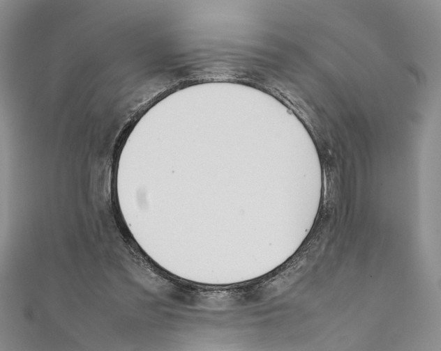 X0000111660301200908141319