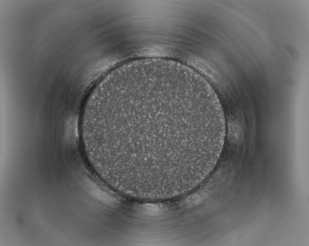 X0000111660302200908141319