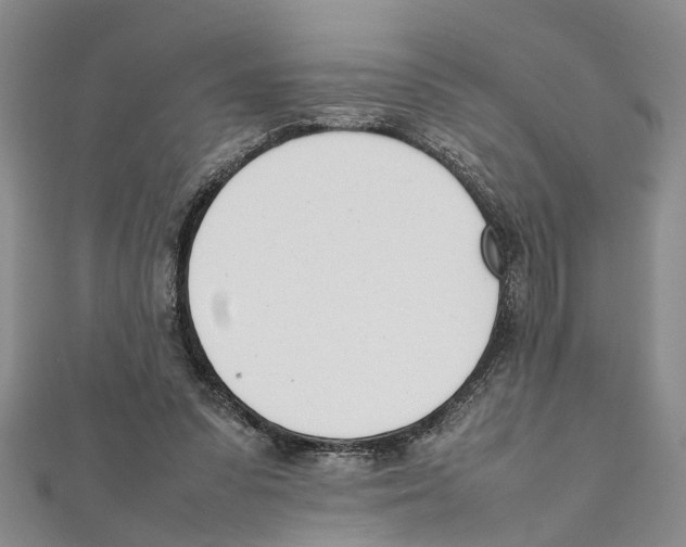 X0000111660303200908141319