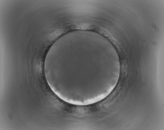 X0000111660305200908141319