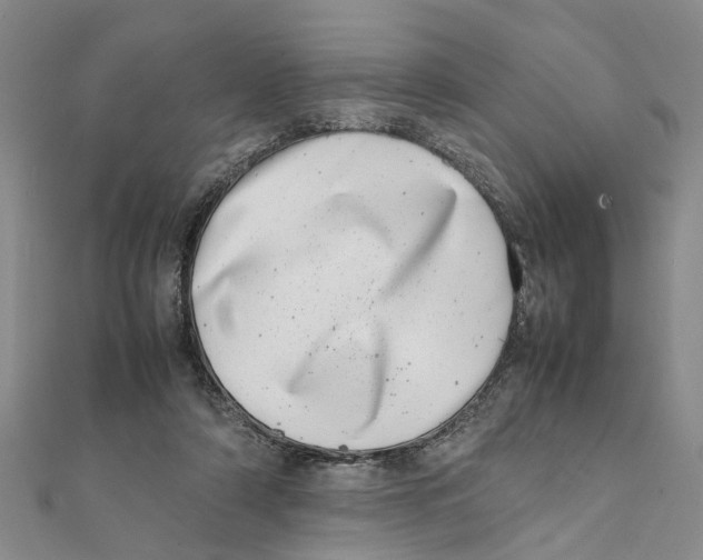 X0000111660306200908141319