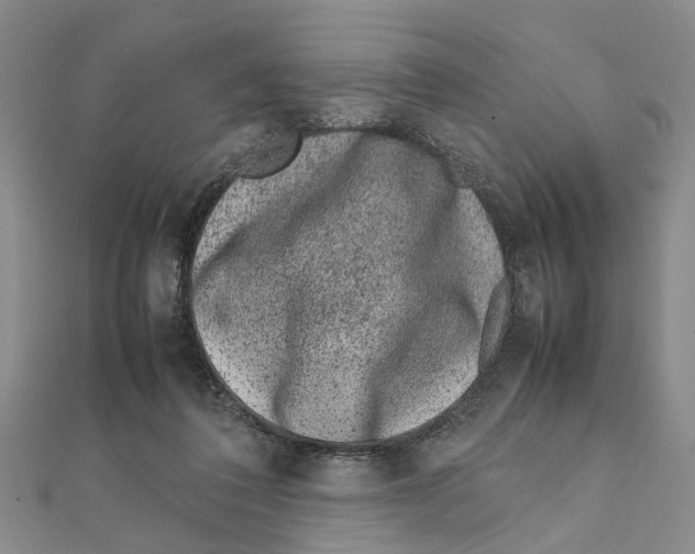 X0000111660308200908141319