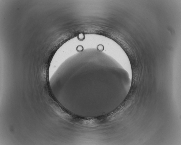 X0000111660309200908141319