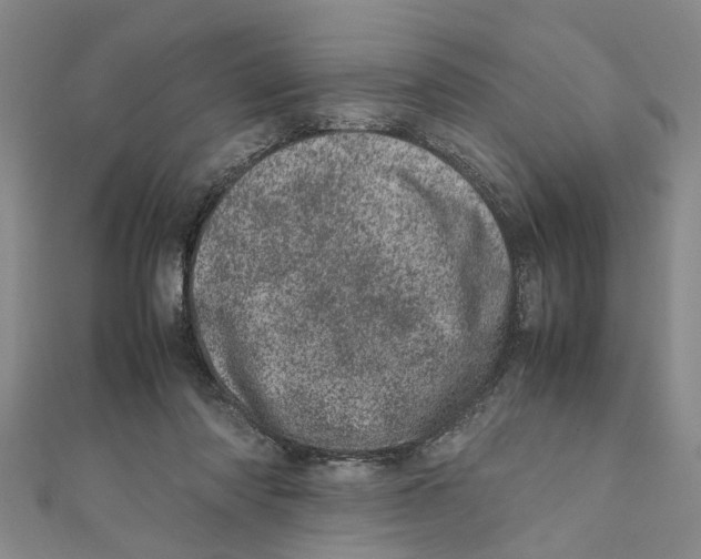 X0000111660310200908141319