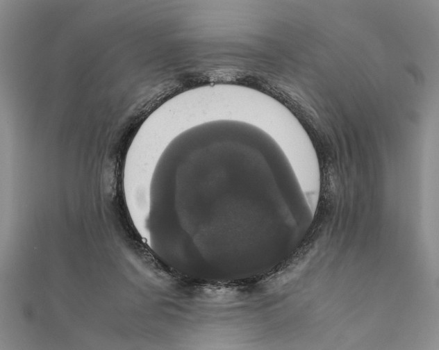 X0000111660311200908141319