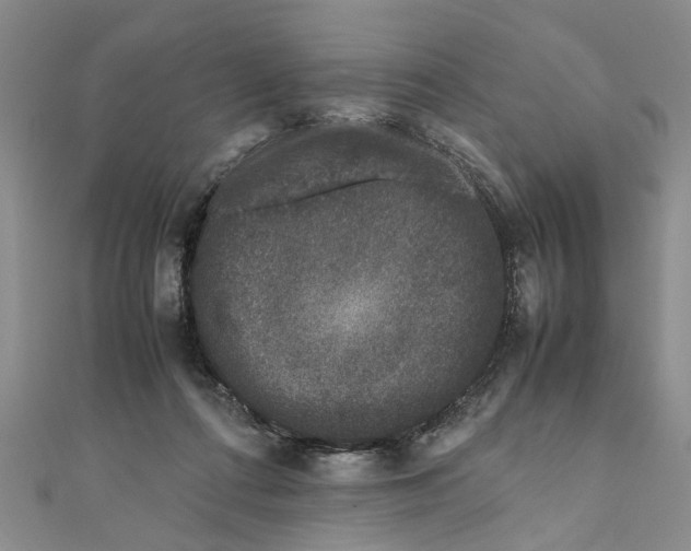 X0000111660312200908141319