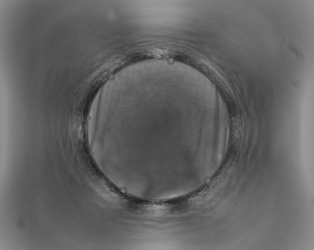 X0000111660313200908141319