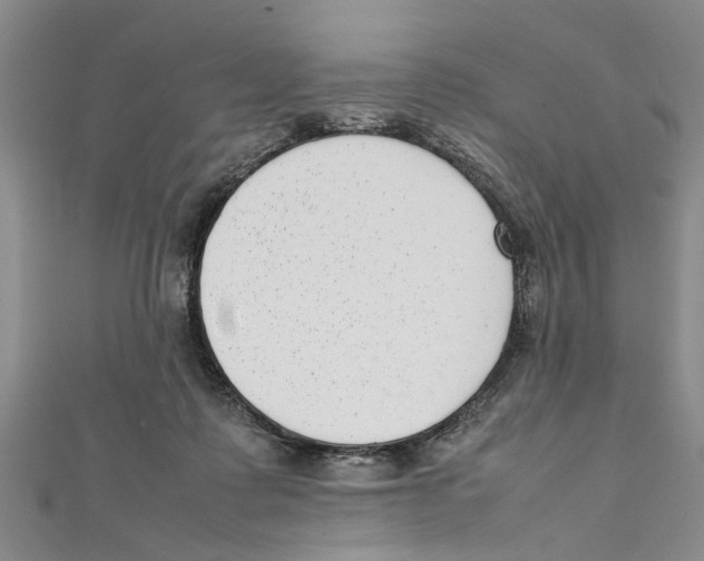 X0000111660315200908141319