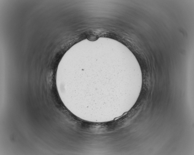 X0000111660319200908141319