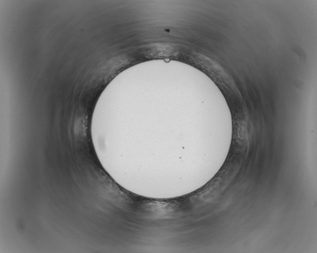 X0000111660326200908141319