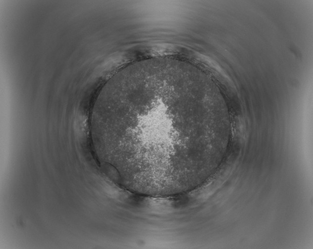 X0000111660327200908141319