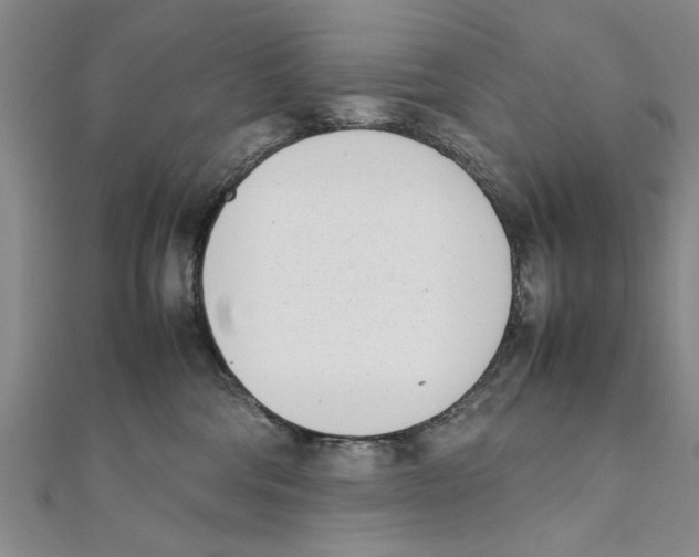 X0000111660330200908141319