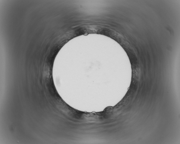 X0000111660331200908141319