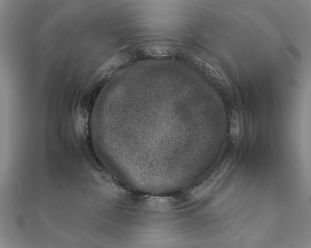 X0000111660332200908141319