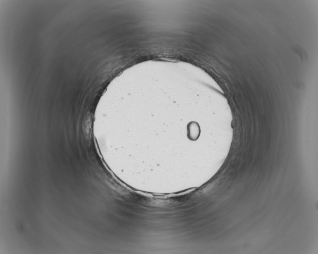 X0000111660336200908141319