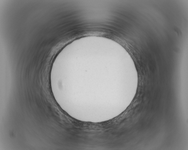 X0000111660337200908141318