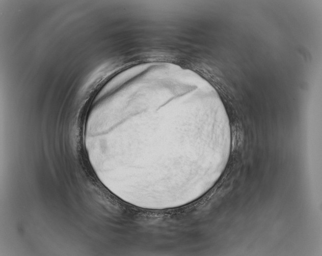 X0000111660339200908141318