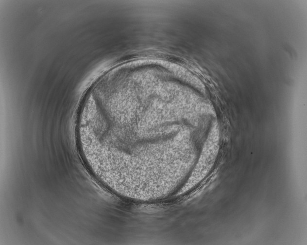 X0000111660341200908141318