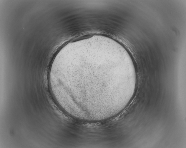 X0000111660345200908141318