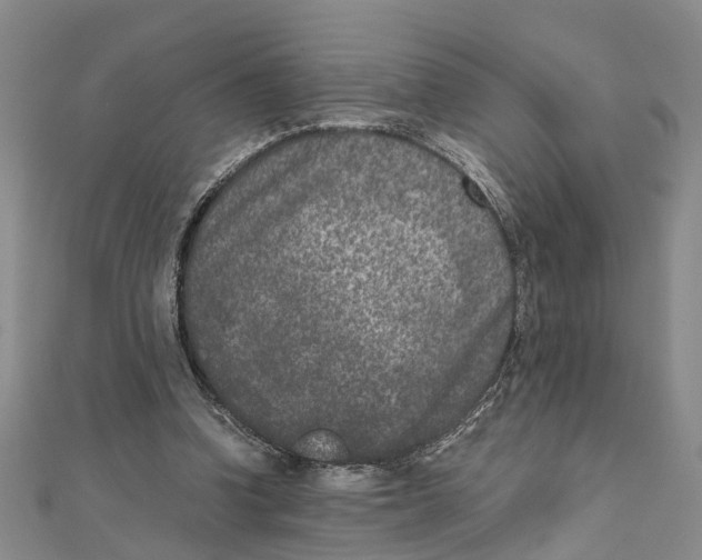 X0000111660346200908141318