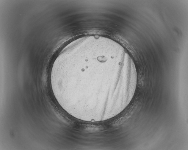 X0000111660347200908141318