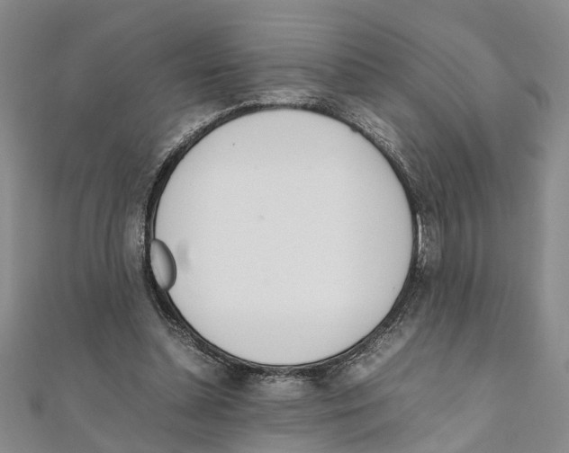 X0000111660348200908141318