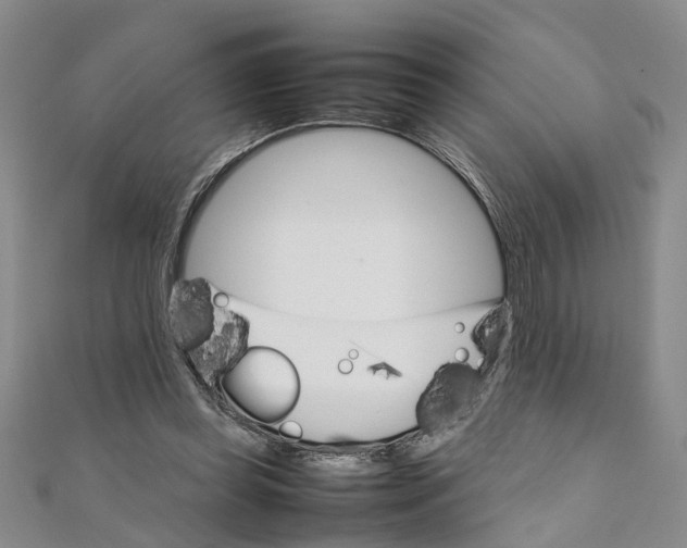 X0000111660349200908141318