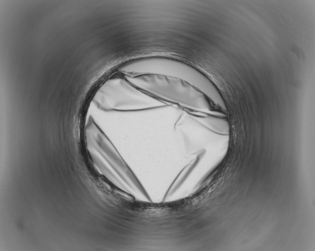 X0000111660350200908141318