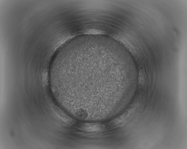 X0000111660351200908141318