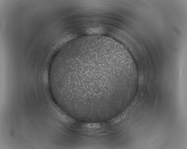 X0000111660353200908141319