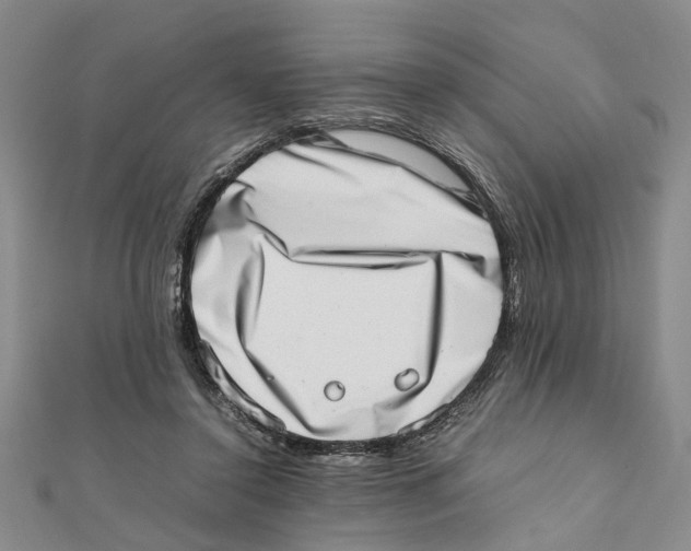 X0000111660356200908141319