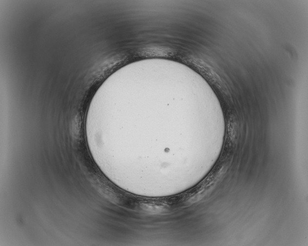 X0000111660359200908141319