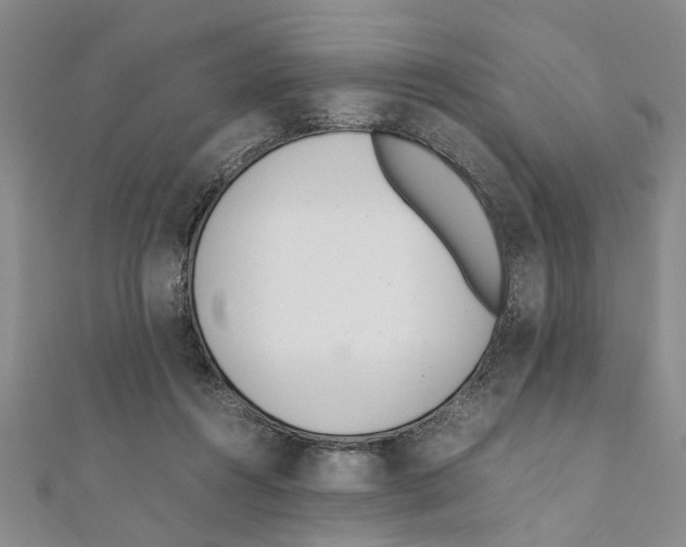 X0000111660360200908141319