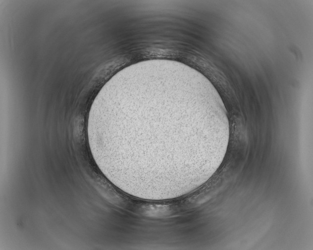 X0000111660361200908141319