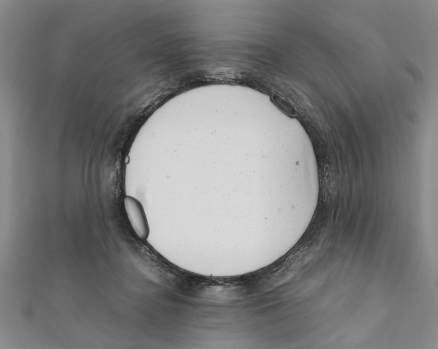 X0000111660364200908141319