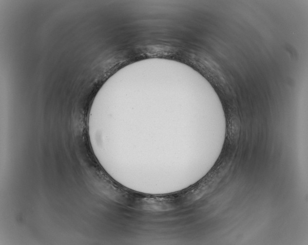 X0000111660367200908141319