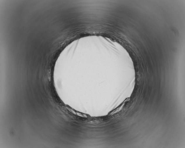 X0000111660368200908141319