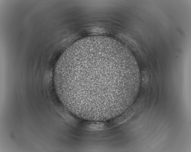 X0000111660369200908141319