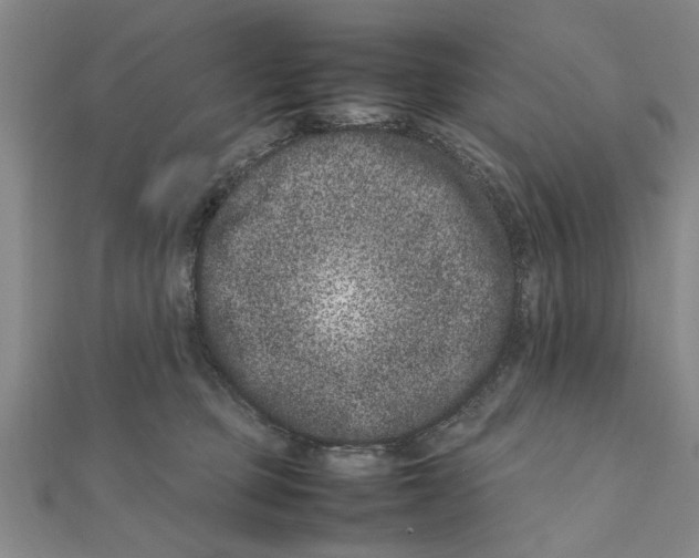 X0000111660373200908141319