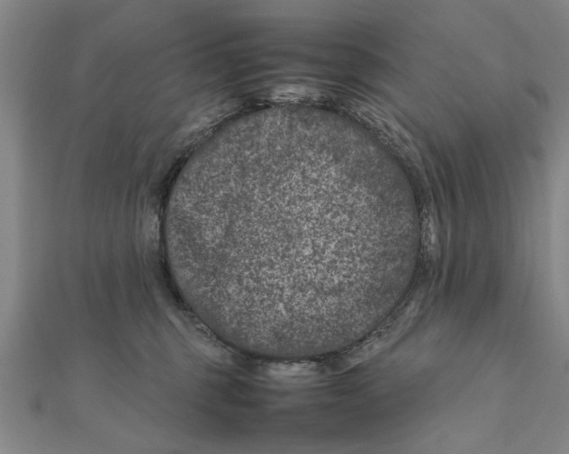 X0000111660375200908141319