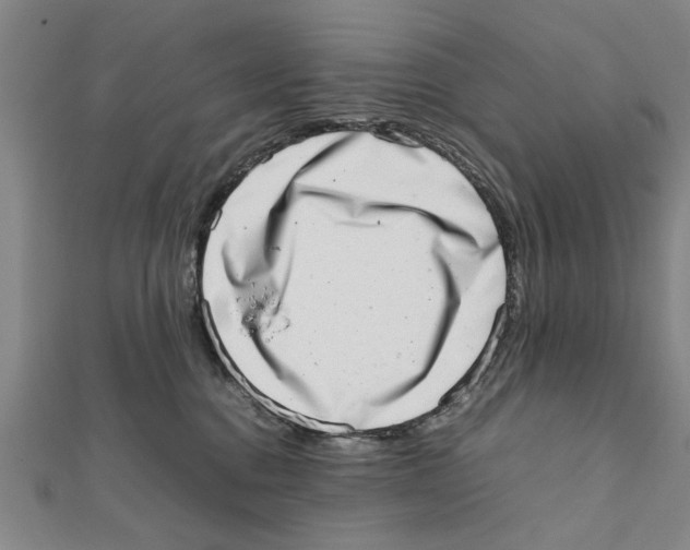 X0000111660376200908141319