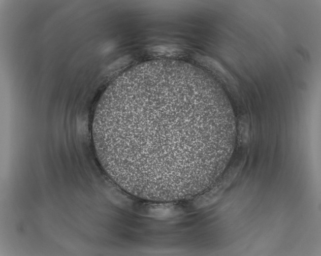 X0000111660377200908141319