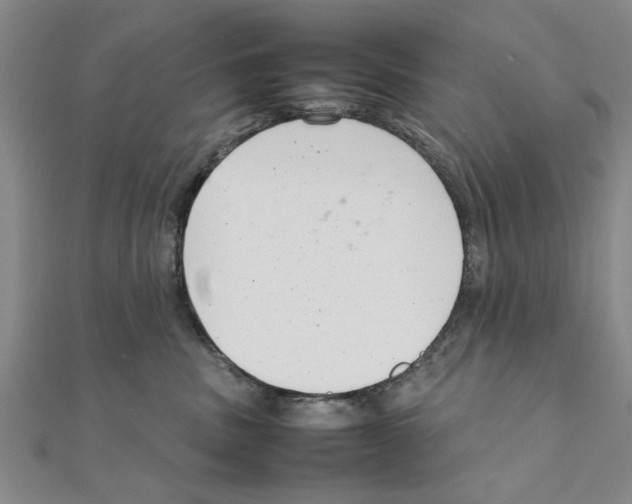 X0000111660379200908141319