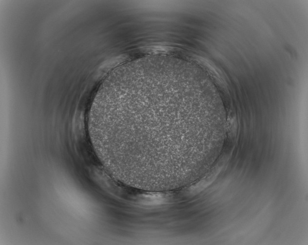 X0000111660381200908141319